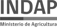 logoIndap