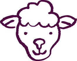 Cordero